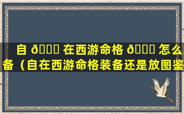 自 🐅 在西游命格 🐘 怎么装备（自在西游命格装备还是放图鉴好）